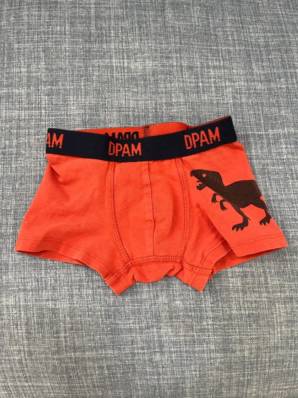 Orange Kids Boxer Briefs with Dinosaur Print